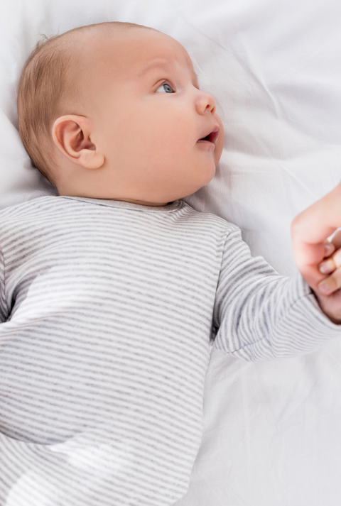 European Baby Formula & Organic Essentials – Quality You Can Trust